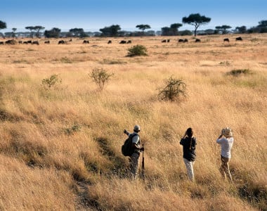 Safari África Oriental andBeyond